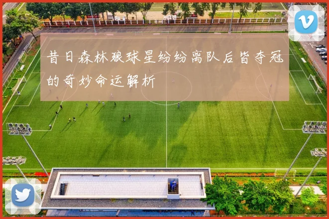 昔日森林狼球星纷纷离队后皆夺冠的奇妙命运解析